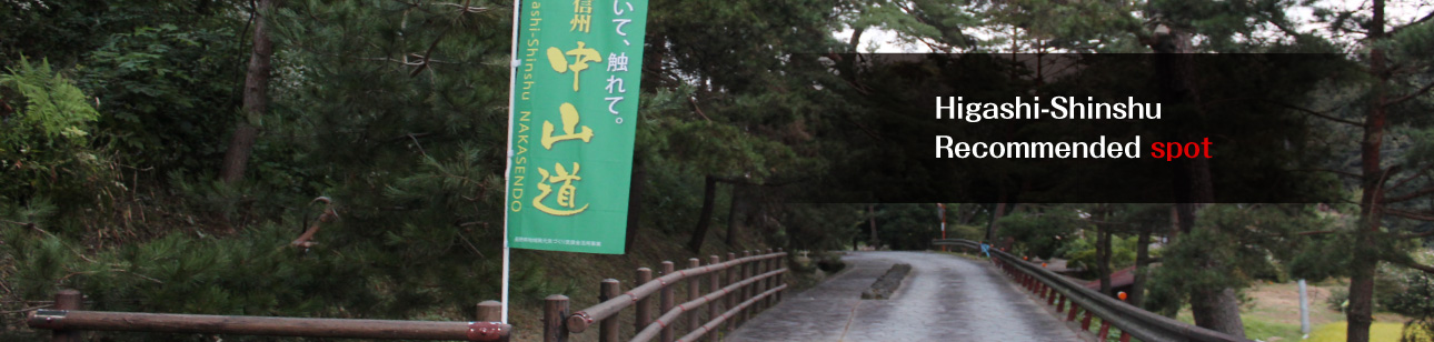 お探しコンテンツ